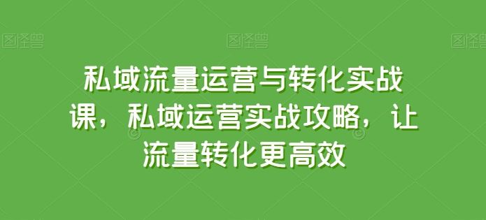 私域流量运营与转化实战课，私域运营实战攻略，让流量转化更高效-一起网创