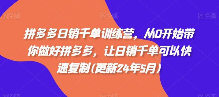 拼多多日销千单训练营，从0开始带你做好拼多多，让日销千单可以快速复制(更新24年5月)-一起网创