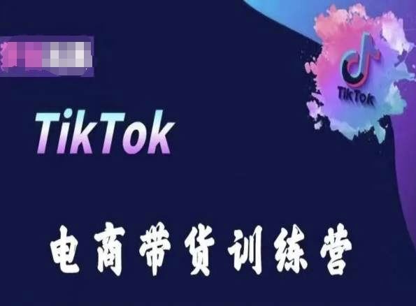 TikTok电商带货训练营，跟随时代潮流，跨境掘金-一起网创