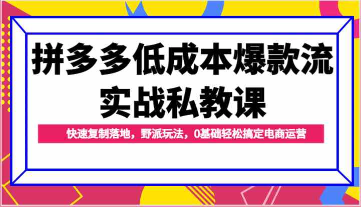 拼多多低成本爆款流实战私教课，快速复制落地，野派玩法，0基础轻松搞定电商运营-一起网创