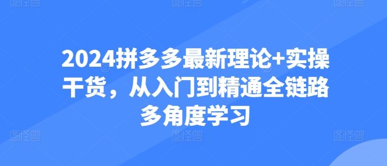 2024拼多多最新理论+实操干货，从入门到精通全链路多角度学习-一起网创