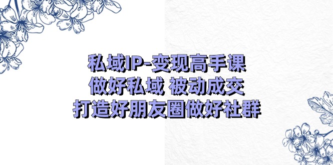 私域IP变现高手课：做好私域被动成交，打造好朋友圈做好社群（18节）-一起网创