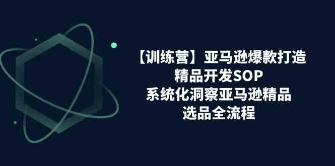 亚马逊爆款打造之精品开发SOP【训练营】，系统化洞察亚马逊精品选品全流程-一起网创