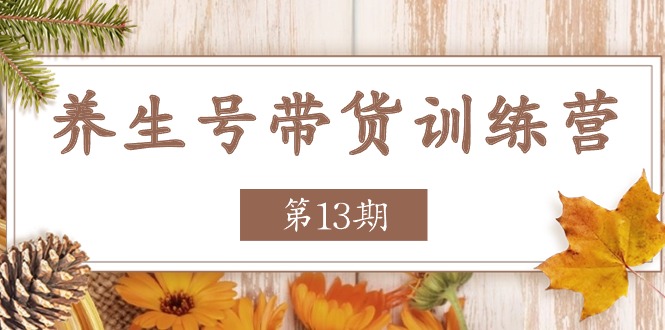 养生号带货训练营【第13期】收益更稳定的玩法，让你带货收益爆炸-一起网创