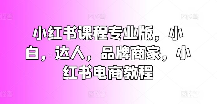 小红书课程专业版，小白，达人，品牌商家，小红书电商教程-一起网创