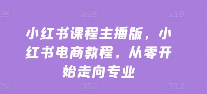 小红书课程主播版，小红书电商教程，从零开始走向专业-一起网创