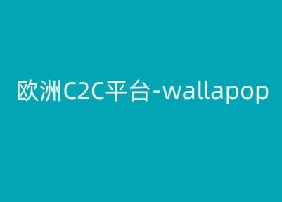欧洲C2C平台-wallapop-kim跨境电商教程-一起网创