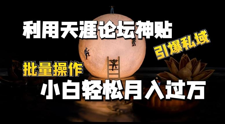 利用天涯论坛神贴，引爆私域，批量操作，小白轻松月入过w【揭秘】-一起网创