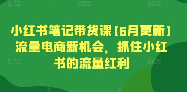 小红书笔记带货课【6月更新】流量电商新机会，抓住小红书的流量红利-一起网创
