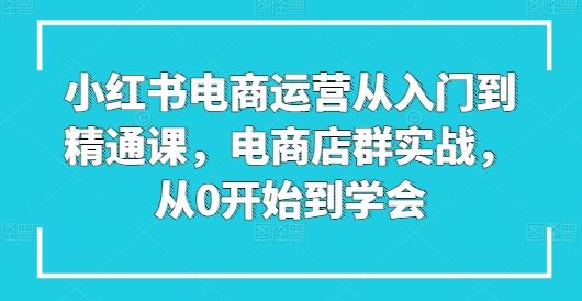 小红书电商运营从入门到精通课，电商店群实战，从0开始到学会-一起网创