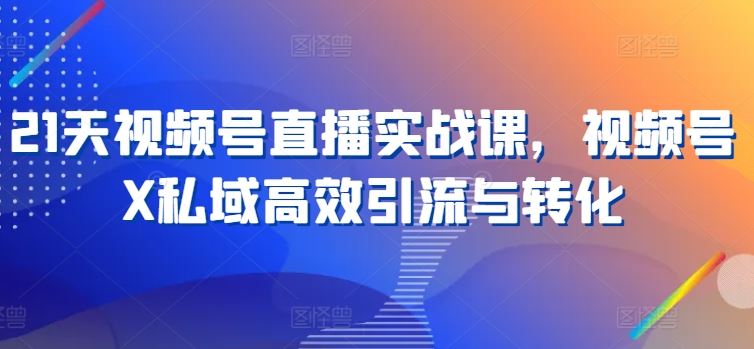 21天视频号直播实战课，视频号X私域高效引流与转化-一起网创