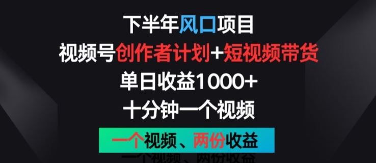 下半年风口项目，视频号创作者计划+视频带货，一个视频两份收益，十分钟一个视频【揭秘】-一起网创