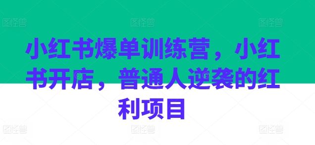 小红书爆单训练营，小红书开店，普通人逆袭的红利项目-一起网创