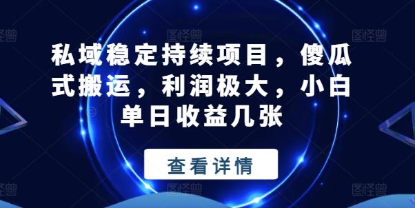 私域稳定持续项目，傻瓜式搬运，利润极大，小白单日收益几张【揭秘】-一起网创