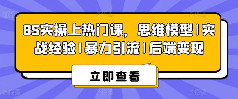 8S实操上热门课，思维模型|实战经验|暴力引流|后端变现-一起网创