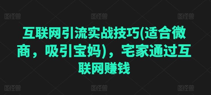 互联网引流实战技巧(适合微商，吸引宝妈)，宅家通过互联网赚钱-一起网创