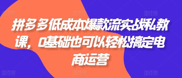 拼多多低成本爆款流实战私教课，0基础也可以轻松搞定电商运营-一起网创