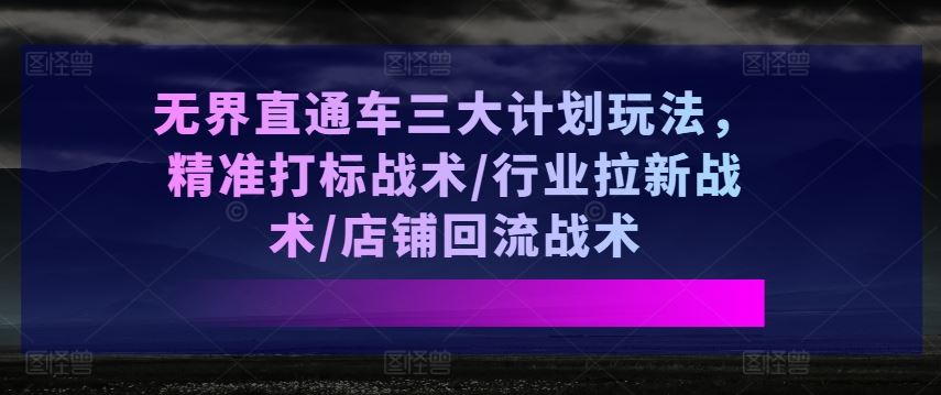 无界直通车三大计划玩法，精准打标战术/行业拉新战术/店铺回流战术-一起网创