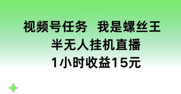 视频号任务，我是螺丝王， 半无人挂机1小时收益15元【揭秘】-一起网创