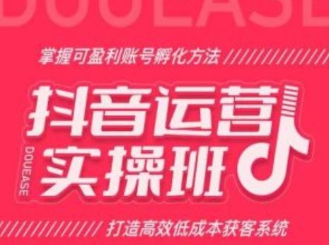 抖音运营实操班，掌握可盈利账号孵化方法，打造高效低成本获客系统-一起网创