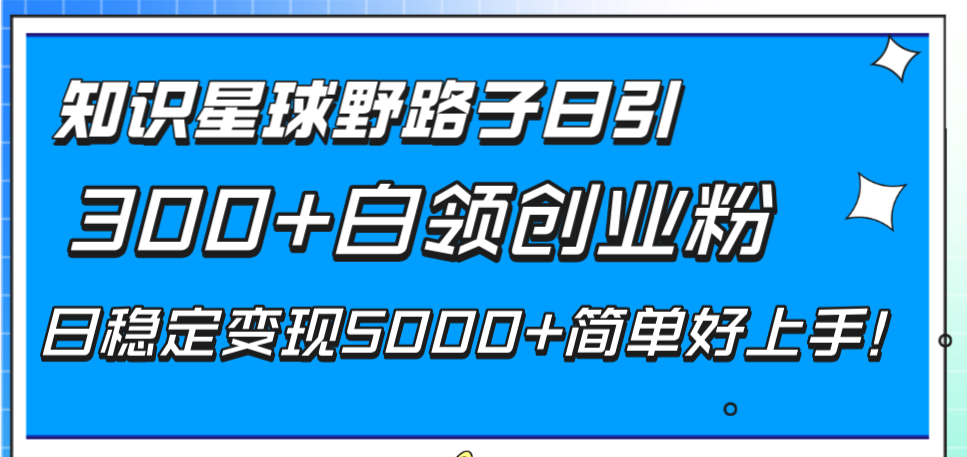 （8315期）知识星球野路子日引300+白领创业粉，日稳定变现5000+简单好上手！-一起网创