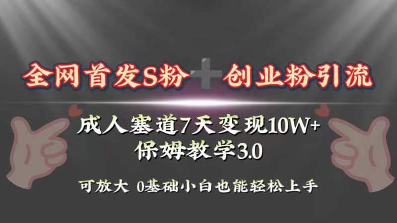 （8337期）全网首发s粉加创业粉引流变现，成人用品赛道7天变现10w+保姆教学3.0-一起网创