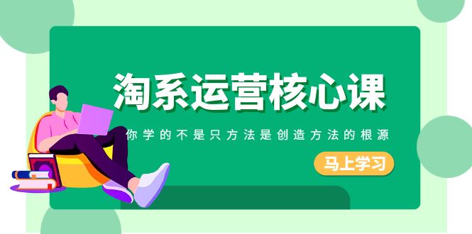 （8392期）淘系-运营核心课，你学的不是只方法是创造方法的根源（190节课）-一起网创