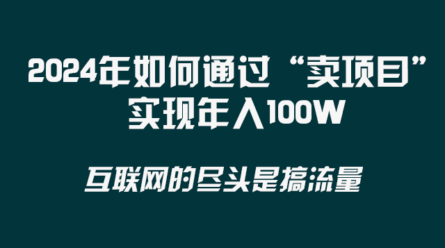 （8382期） 2024年如何通过“卖项目”实现年入100W-一起网创