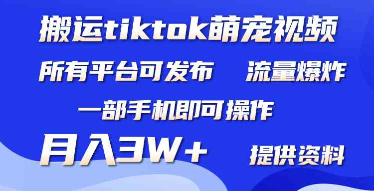 （9618期）搬运Tiktok萌宠类视频，一部手机即可。所有短视频平台均可操作，月入3W+-一起网创