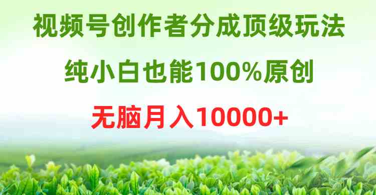 （9608期）视频号创作者分成顶级玩法，纯小白也能100%原创，无脑月入10000+-一起网创