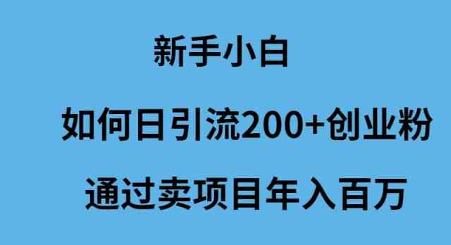 （9668期）新手小白如何日引流200+创业粉通过卖项目年入百万-一起网创