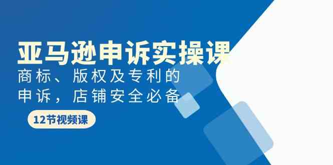 （9754期）亚马逊-申诉实战课，​商标、版权及专利的申诉，店铺安全必备-一起网创