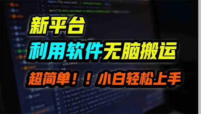 （9745期）新平台用软件无脑搬运，月赚10000+，小白也能轻松上手-一起网创