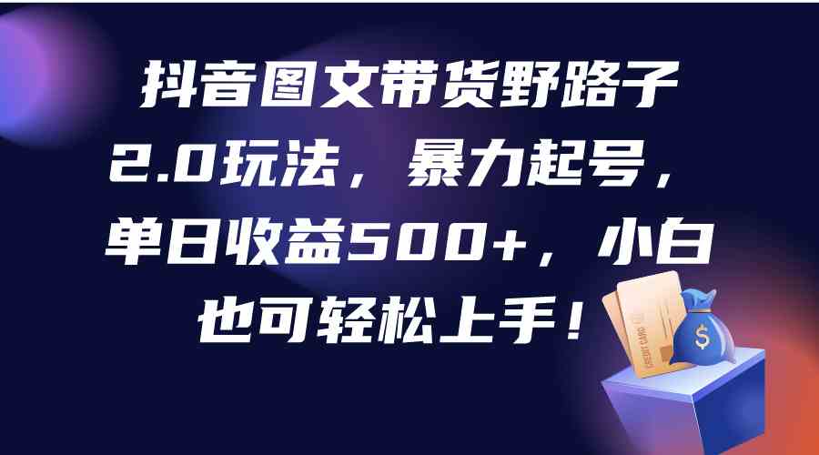 （9790期）抖音图文带货野路子2.0玩法，暴力起号，单日收益500+，小白也可轻松上手！-一起网创