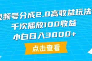 （9716期）视频号分成2.0高收益玩法，千次播放100收益，小白日入3000+-一起网创