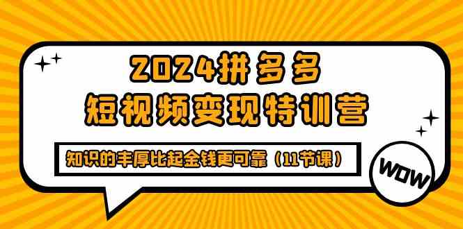 （9817期）2024拼多多短视频变现特训营，知识的丰厚比起金钱更可靠（11节课）-一起网创