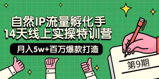 （9881期）自然IP流量孵化手 14天线上实操特训营【第9期】月入5w+百万爆款打造 (74节)-一起网创