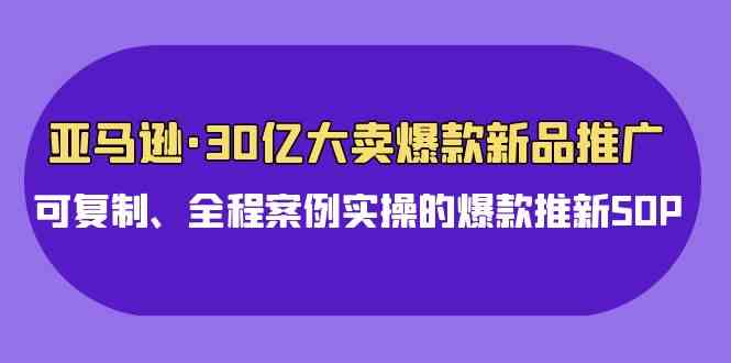 （9944期）亚马逊30亿·大卖爆款新品推广，可复制、全程案例实操的爆款推新SOP-一起网创