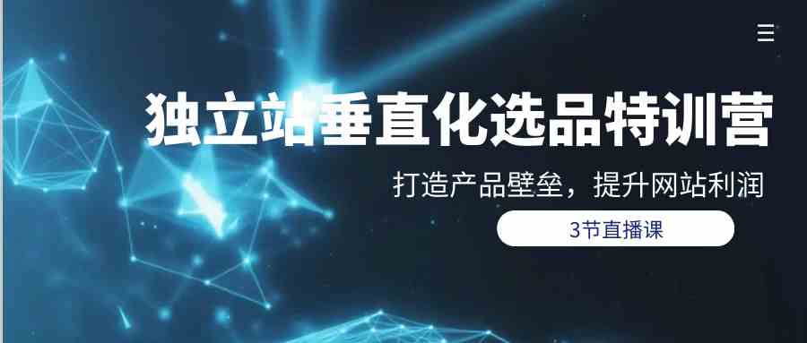 （9925期）独立站-垂直化选品训练营，打造产品壁垒，提升网站利润（3节直播课）-一起网创