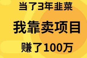 （10149期）当了3年韭菜，我靠卖项目赚了100万-一起网创