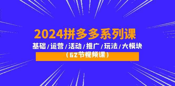 （10019期）2024拼多多系列课：基础/运营/活动/推广/玩法/大模块（62节视频课）-一起网创