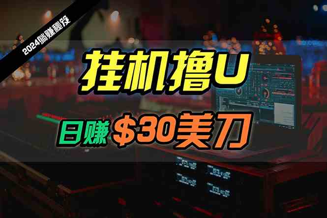（10013期）日赚30美刀，2024最新海外挂机撸U内部项目，全程无人值守，可批量放大-一起网创