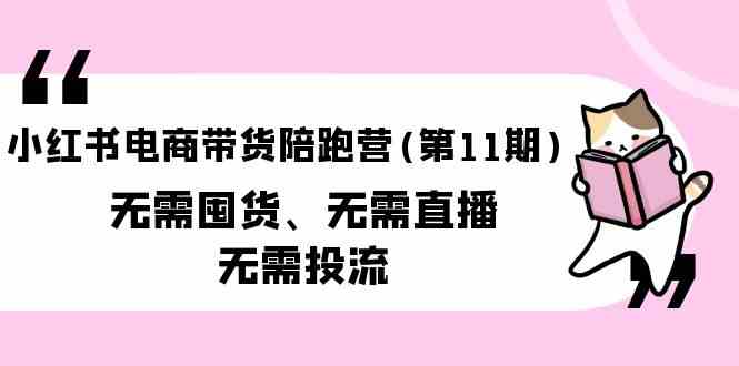 （9996期）小红书电商带货陪跑营(第11期)无需囤货、无需直播、无需投流（送往期10套）-一起网创