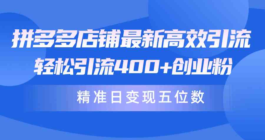 （10041期）拼多多店铺最新高效引流术，轻松引流400+创业粉，精准日变现五位数！-一起网创