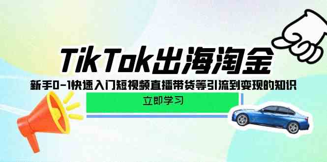 （10035期）TikTok-出海淘金，新手0-1快速入门短视频直播带货等引流到变现的知识-一起网创