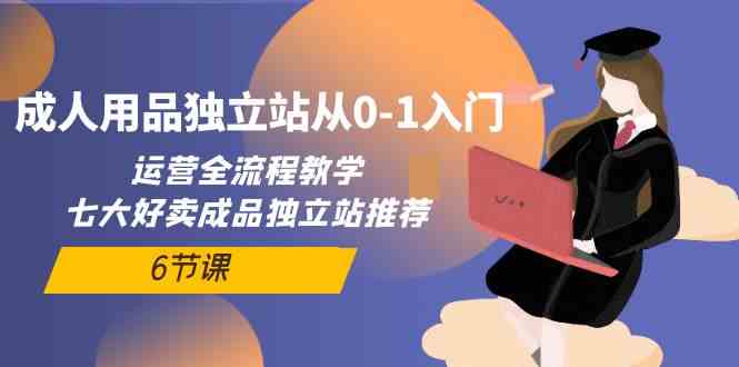（10082期）成人用品独立站从0-1入门，运营全流程教学，七大好卖成品独立站推荐-6节课-一起网创
