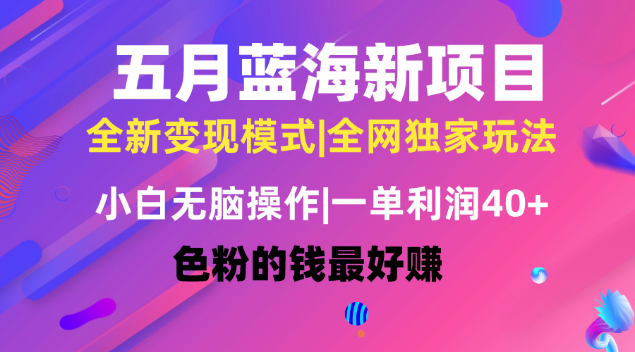 （10477期）五月蓝海项目全新玩法，小白无脑操作，一天几分钟，矩阵操作，月入4万+-一起网创