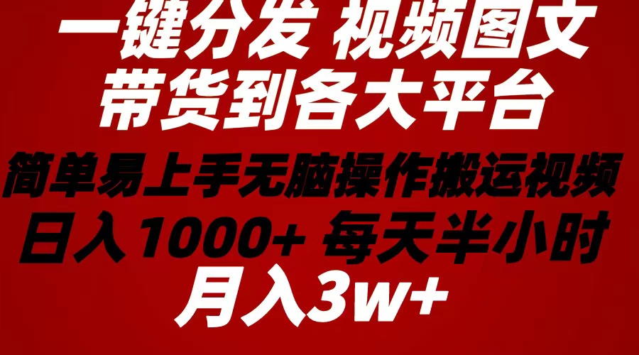 （10667期）2024年 一键分发带货图文视频  简单易上手 无脑赚收益 每天半小时日入1…-一起网创