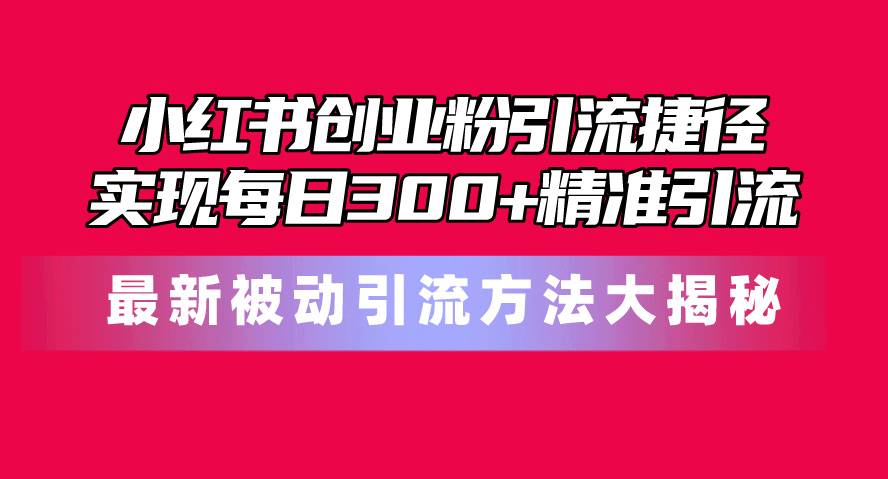 （10692期）小红书创业粉引流捷径！最新被动引流方法大揭秘，实现每日300+精准引流-一起网创