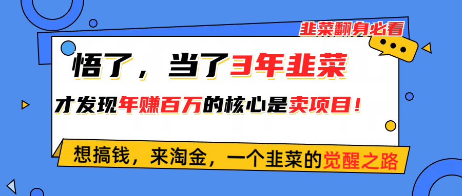 （10759期）悟了，当了3年韭菜，才发现网赚圈年赚100万的核心是卖项目，含泪分享！-一起网创